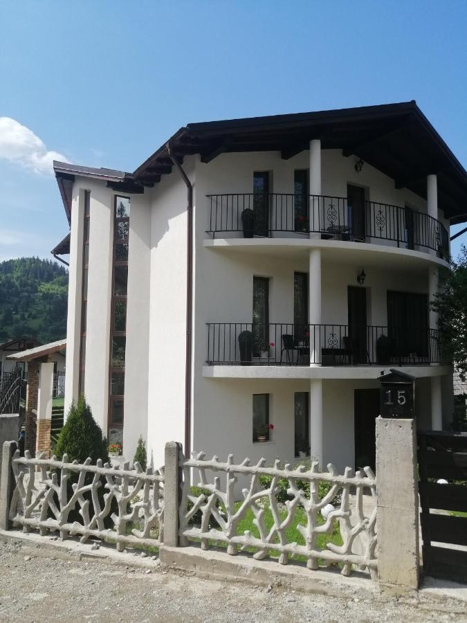Pensiunea Timis Gasthof *