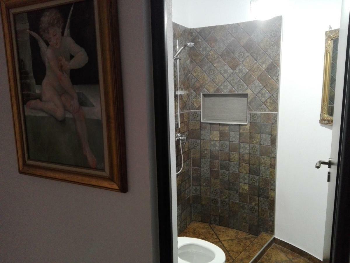 Pensiunea Timis בית הארחה בורסא